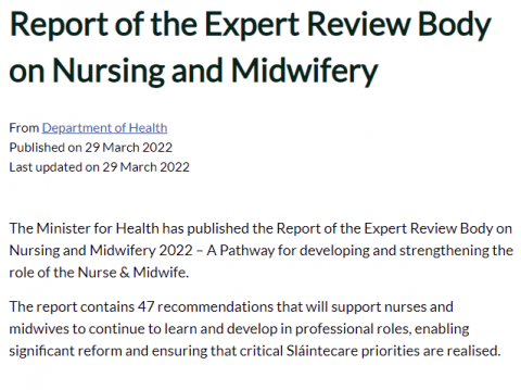 Report of the Expert Review Body on Nursing and Midwifery