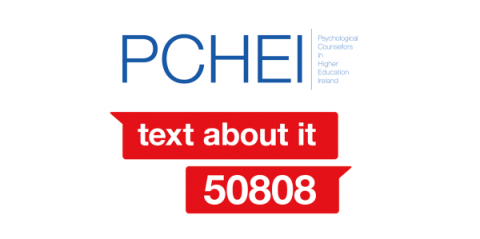 PCHEI logo