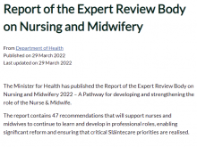 Report of the Expert Review Body on Nursing and Midwifery